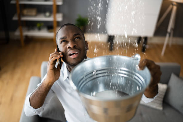 Best Professional water damage repair  in Jim Thorpe, PA