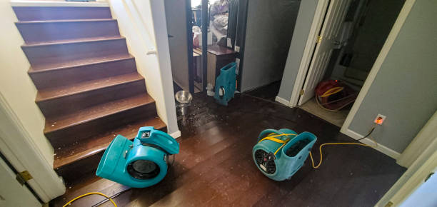 Best Flooded house restoration  in Jim Thorpe, PA