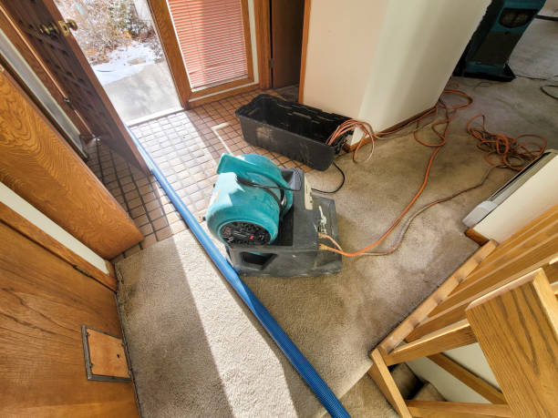Best Basement water damage restoration  in Jim Thorpe, PA