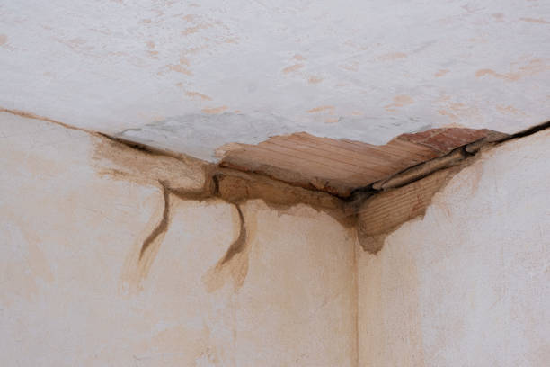 Best Local water damage restoration  in Jim Thorpe, PA