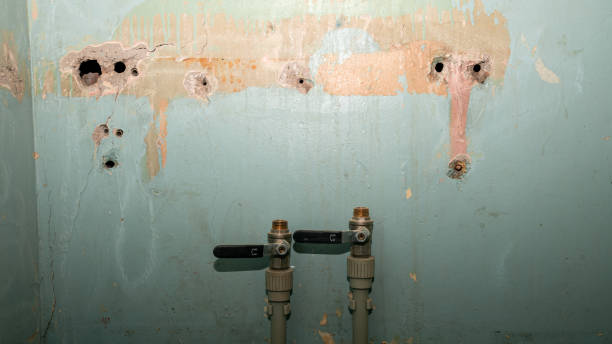 Water damage restoration mold remediation in Jim Thorpe, PA